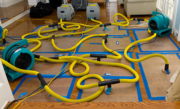 Professional Flood Damage Restoration technician working in Irwin, IA